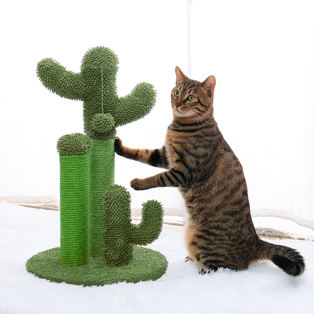 Cactus Tree Scratcher Posts