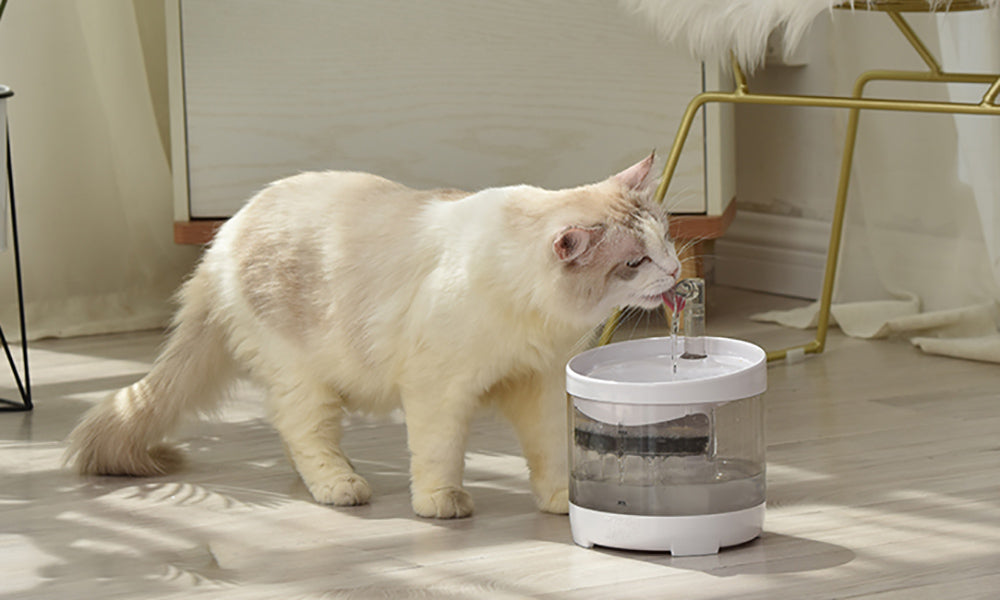 Rechargeable Automatic Cat Fountain