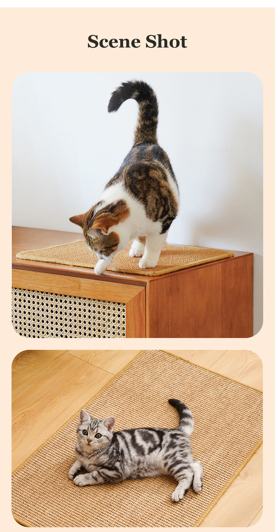 Cat Scratcher Sofa protector