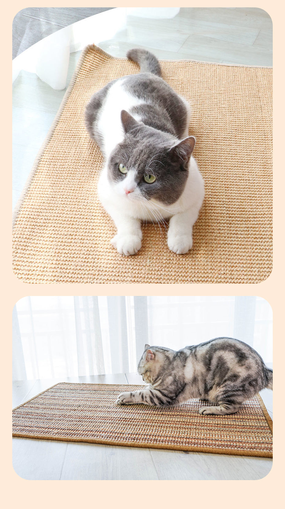 Cat Scratcher Sofa protector