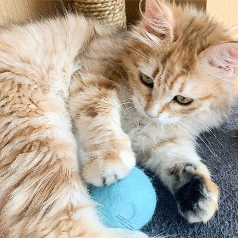 Catnip infused Exercise Ball